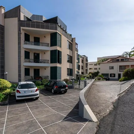 Palmasol By An Island *